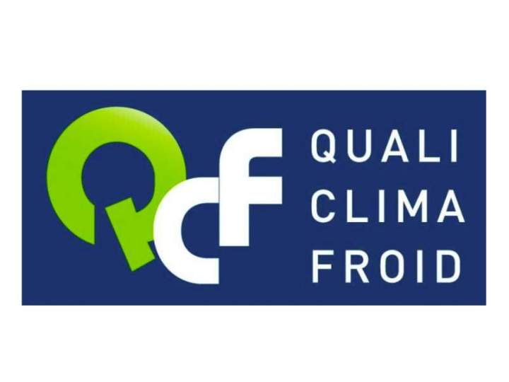 Logo QCF